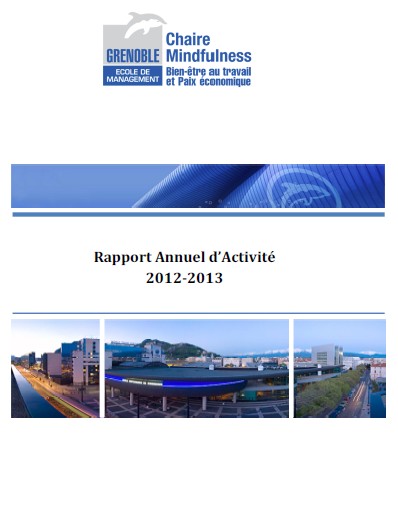 icone rapport annuel 14-2