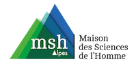 MSH logo DS