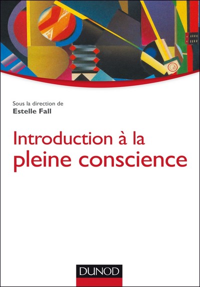 visuel livre intro pleine conscience